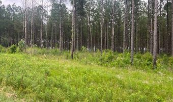 2423 B East Lincoln Rd, Brookhaven, MS 39601