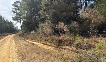 Conecuh River Church Rd, Andalusia, AL 36420