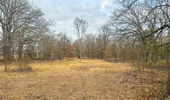 9696 Fm-515, Alba, TX 75410
