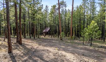 15 County Road 2083, Alpine, AZ 85920