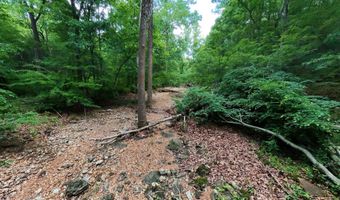 County Road 200, Alton, MO 65606