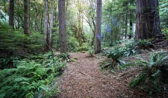 1107 WINCHUCK RIVER Rd, Brookings, OR 97415
