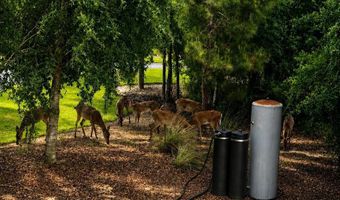 17103 NW Chipola Heights Rd, Altha, FL 32421