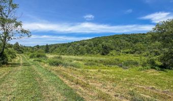 0 Woodland Hills Rd, Andes, NY 13731