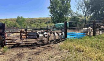 830 Snively Gulch Rd, Adrian, OR 97901