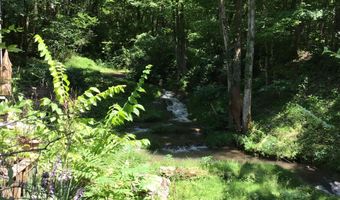 275 W Pines Rd, Afton, TN 37616