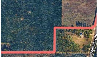 9030 HILLANDALE Dr, Auburn, AL 36830