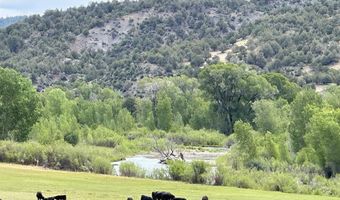 USFS RD 613, Arboles, CO 81147