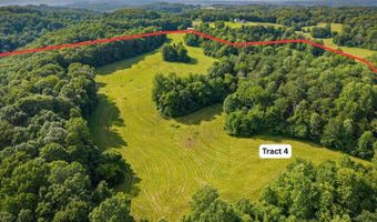 0 Willow Grove Hwy, Allons, TN 38541