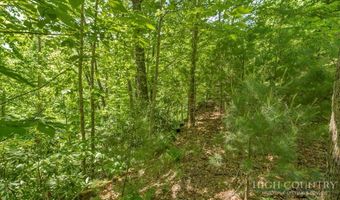 Daisy Ridge Road lot 36, Banner Elk, NC 28604