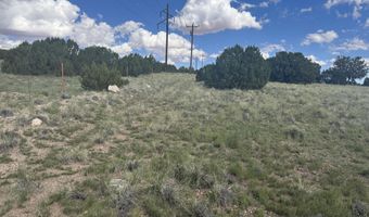 79 Alpine Ln, Concho, AZ 85924