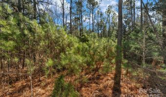 Old Douglass Road unit 3 3, Blackstock, SC 29014