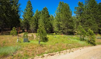 Price Loop lot 51, Cascade, ID 83611