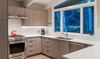 1650 Homestake Dr, Aspen, CO 81611