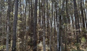 0 Mail Route Rd, Bonneau, SC 29431