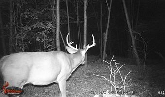 Cr-38, Alma, NY 14708