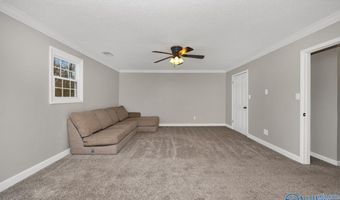 12760 Lucas Ferry Rd, Athens, AL 35611