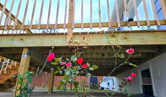 4813 LAWRENCE St, Alexandria, VA 22309