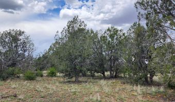 97 C Rattlesnake, Ash Fork, AZ 86320