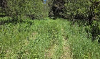 4585 E 1400 N, Ashton, ID 83420