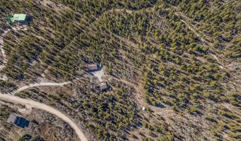 495 Edgewood Rd, Alma, CO 80420