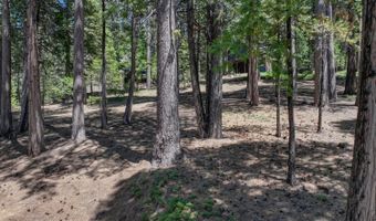 1955 Seminole Way, Arnold, CA 95223