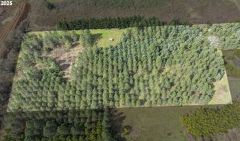 Three Trees Ln, Amity, OR 97101