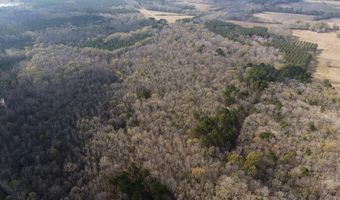 Maddox Road, Ackerman, MS 39735