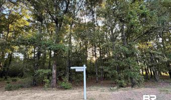 0 Pine Grove Rd Pine Grove Rd, Bay Minette, AL 36507
