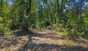 4509 NW 63rd Ter, Bell, FL 32619