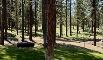 77 Timber Ln, Adin, CA 96006