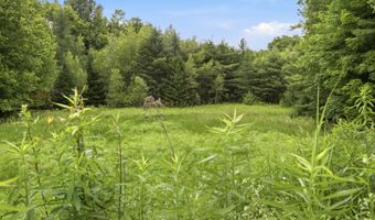 38 Cross Rd, Bath, NH 03740