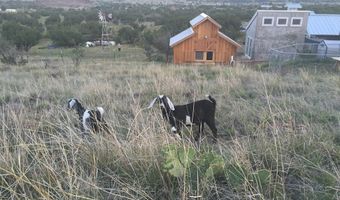 59 Wagon Rd, Alpine, TX 79830