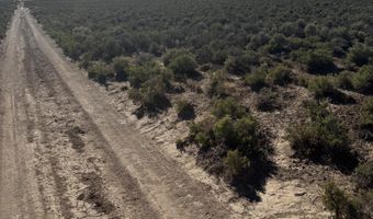 40 Acres E-1371-0000-0000, Beryl, UT 84714