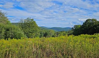 Shaver Hollow, Andes, NY 13731