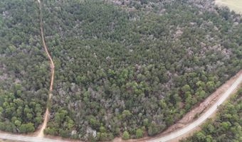 TBD Hwy. 29, Brooklyn, MS 39425