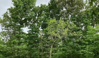 951 County Road 206, Alton, MO 65606