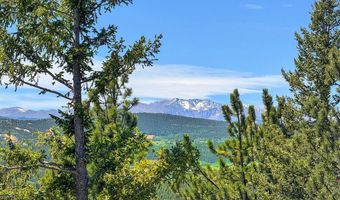 212 Elk Pl, Black Hawk, CO 80422