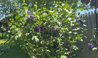 719 CLERMONT St, Antigo, WI 54409