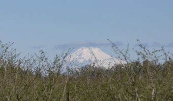 10418 CHAMPOEG Rd, Aurora, OR 97002