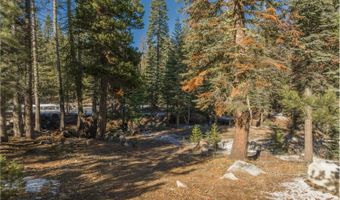 422 Salt Springs Trail Trl, South Lake Tahoe, CA 95223