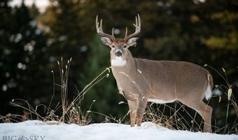 8906 Gold Dust Trl, Bozeman, MT 59715
