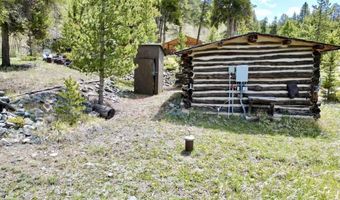 103 Main St, Almont, CO 81210