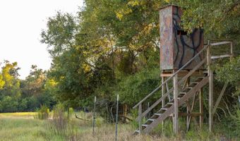 100 Acres Harmony Church Rd, Andalusia, AL 36421