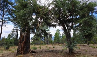 48070 Partin Dr, Beatty, OR 97621