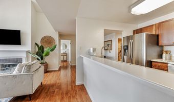 535 Pierce St 1307, Albany, CA 94706