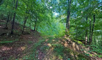 6270 KY 1809, Barbourville, KY 40906