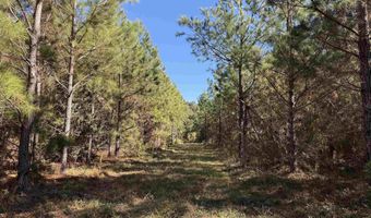 57 40 Acres-TBD Cades Rd, Cades, SC 29518