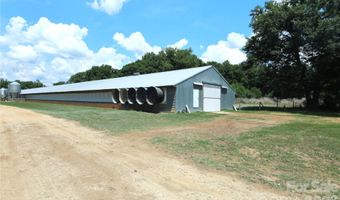 2121 Whitetail Rd, Blackville, SC 29817