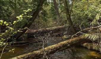 Fortyniner Ln, Bonners Ferry, ID 83805